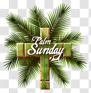 Palm Sunday - Palm Sunday Cross With Palm Leaves Transparent PNG