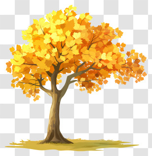 Yellow Maple Tree - Bright Autumn Tree With Golden Leaves Illustration Transparent PNG
