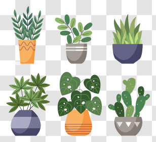 Potted Plants - Set Of Decorative Houseplants In Colorful Pots Transparent PNG