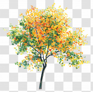Tree Foliage - Colorful Autumn Tree With Foliage Transparent PNG