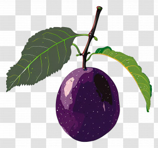 Fruit - Purple Plum Fruit With Green Leaves Transparent PNG