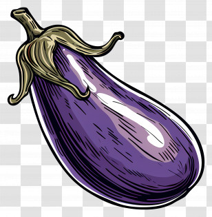 Eggplant Illustration - Purple Eggplant Illustration Transparent PNG