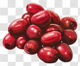 Beans - Fresh Red Cranberries Illustration Transparent PNG