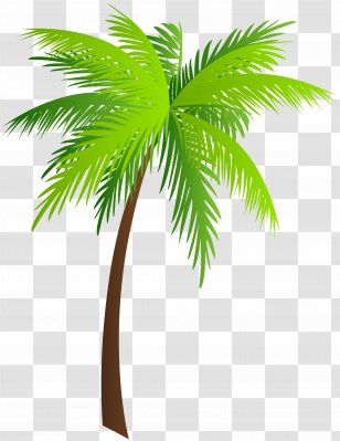 Palm Trees Asian Palmyra Clip Art - Ichumma S Inn - Image Transparent PNG