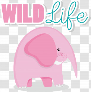 Elephant Transparent PNG