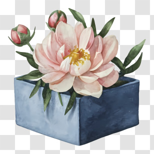 Pink Flower - Pink Flower In Blue Vase Illustration Transparent PNG