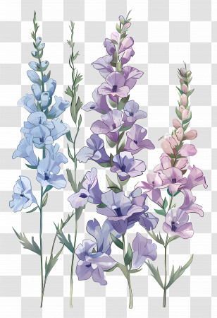 Larkspur - Lavender Flower Stems And Blossoms In Pastel Art Transparent PNG