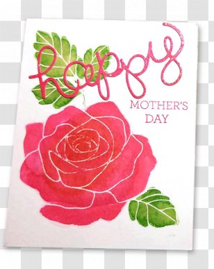 Garden Roses Cabbage Rose Floral Design Cut Flowers - Family - Flower Transparent PNG