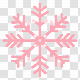 Snowflake Icon - Pink Snowflake Winter Illustration Transparent PNG