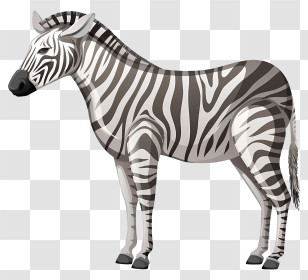 Cute Zebra
 - Realistic Zebra Illustration With Black And White Stripes Transparent PNG