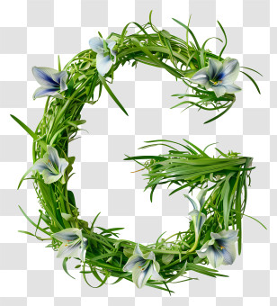 Letter G - Artistic Floral Letter G Design Transparent PNG