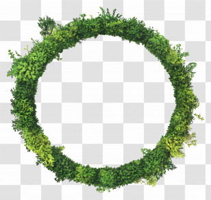 Green Circle Frame - Green Foliage Wreath Decoration Transparent PNG