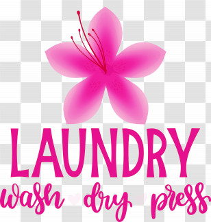 Laundry Wash Dry Transparent PNG
