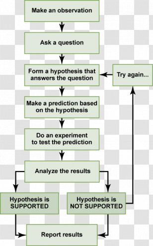 Scientific Method Research Science Hypothesis Theory - Design - Step Flow Chart Transparent PNG