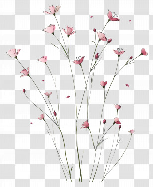 Pink Flowers - Delicate Pink Flower Stems Illustration Transparent PNG