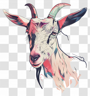 Goat - Goat Illustration With Horns Transparent PNG