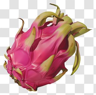 Dragon Fruit - Exotic Pink Dragon Fruit With Vibrant Color Transparent PNG