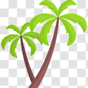 Palm Tree - Tropical Palm Tree Illustration Transparent PNG