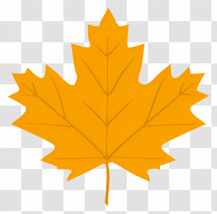 Autumn Maple Leaf - Orange Maple Leaf In Autumn Theme Transparent PNG