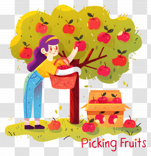 Woman Picking Apples - Fruit Picking From Apple Tree Transparent PNG
