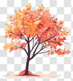 Maple Tree - Beautiful Autumn Tree With Vibrant Leaves Transparent PNG
