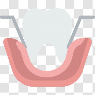 Dentistry Human Tooth - Frame - Dentist Vector Transparent PNG