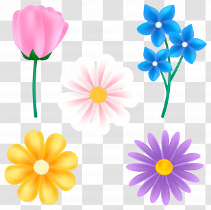 3d Flowers - Colorful Flowers In Bloom Transparent PNG