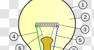 Incandescent Light Bulb Incandescence Lamp Electricity - Cartoon Transparent PNG