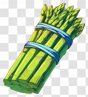 Asparagus - Fresh Asparagus Bundle Transparent PNG