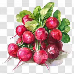 Radishes - Fresh Red Radishes Transparent PNG