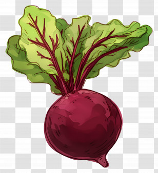 Beet - Beetroot Illustration With Leaves Transparent PNG