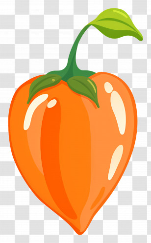 Habanero Pepper - Illustration Of Orange Heart-shaped Fruit Transparent PNG