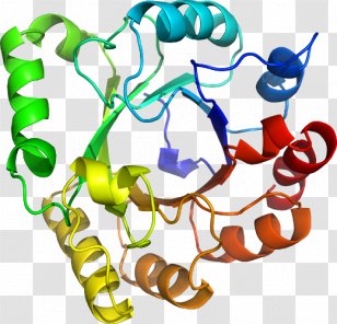 Clip Art Human Behavior Organism Product - Food - Line Transparent PNG