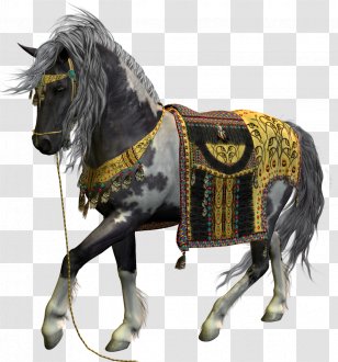 Horse Saddle Pony - Tack - Transparent Transparent PNG