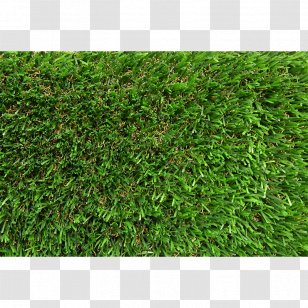 Italgreen Spa Lawn Artificial Turf Garden Carpet Plant Landscape Green Transparent Png