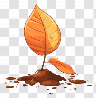 Autumn Leaf On Soil - Autumn Leaf With Soil Illustration Transparent PNG