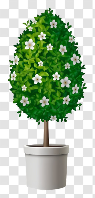 Potted Plant - Lush Potted Plant With White Flowers Transparent PNG