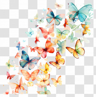 Making Life Beautiful Day - Flying Colorful Butterflies Illustration Transparent PNG