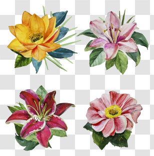 Cartoon - Watercolor Floral Painting With Blooming Flowers Transparent PNG