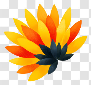 Sunflower Petals - Colorful Petals Design Transparent PNG