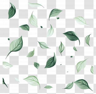 Fluttering Leaves - Falling Green Leaves Pattern Design Transparent PNG