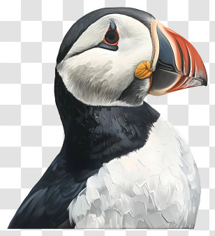 Puffin - Puffin Bird Close-Up Illustration Transparent PNG