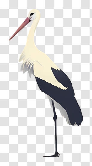 White Stork - Elegant Stork Illustration In Side View Transparent PNG