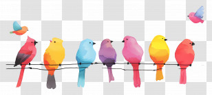 Birds Sitting On A Line - Colorful Birds Perched On Wire Illustration Transparent PNG
