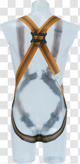 Climbing Harnesses Safety Harness SKYLOTEC Alternate Reality Game Fall Arrest - Tree - Frame Transparent PNG