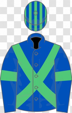 Horse Racing Ascot Racecourse Carriage - Hood Transparent PNG