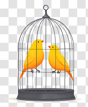 Two Birds In Cage - Birds In Cage Illustration Transparent PNG