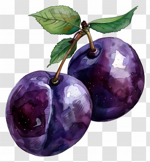 Plum - Fresh Purple Plums With Green Leaves Transparent PNG