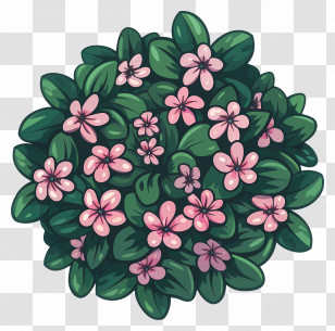 Flower Plant Top View - Flower Bush With Pink Flowers Transparent PNG