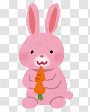 Rex Rabbit Hare Angora Domestic - Baby Toys Transparent PNG
